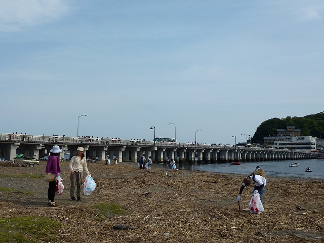 P1020533.jpg