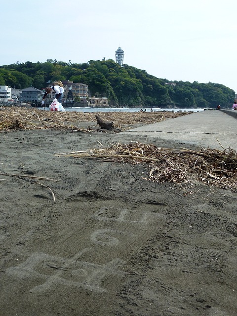 P1020534.jpg
