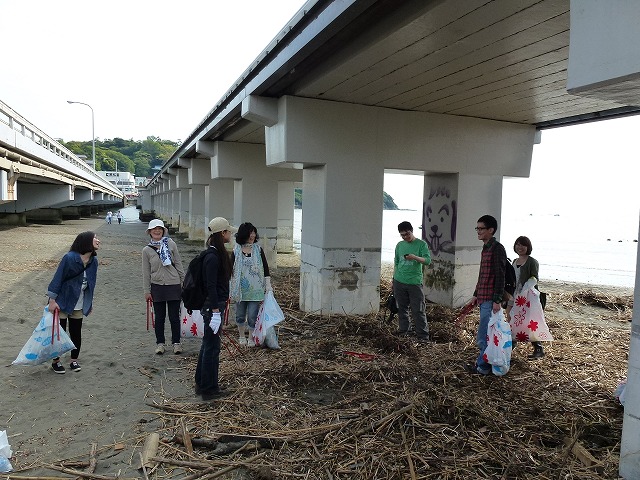 P1020537.jpg