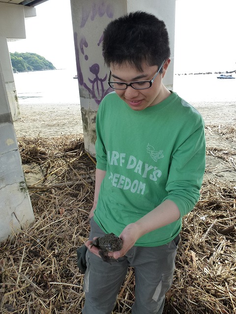 P1020539.jpg