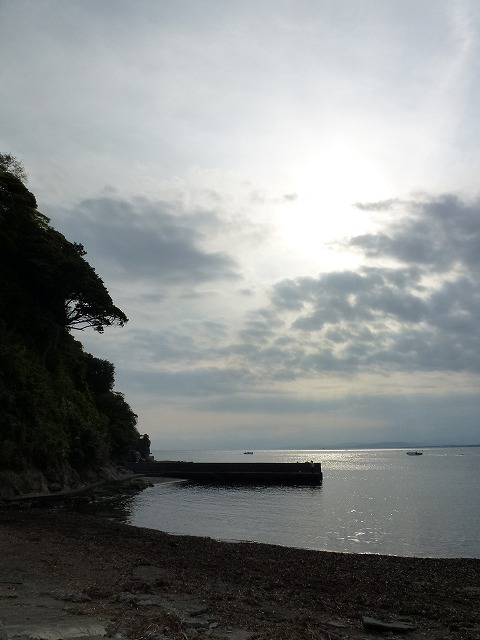 P1020637.jpg