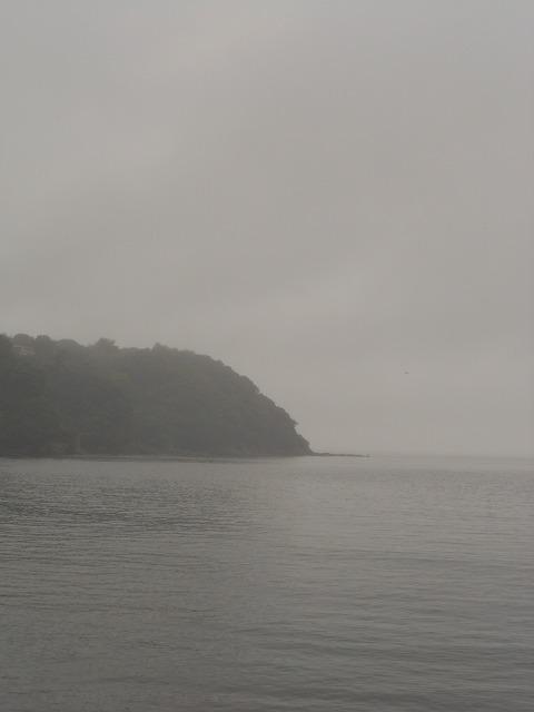 DSCN2851.jpg