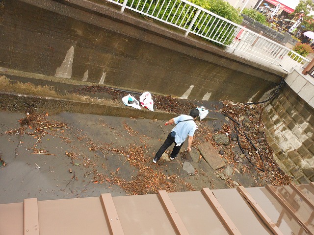DSCN2856.jpg