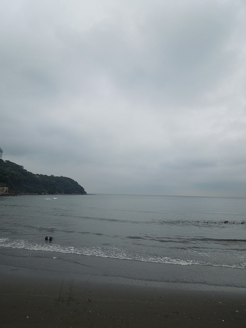 DSCN2784.jpg