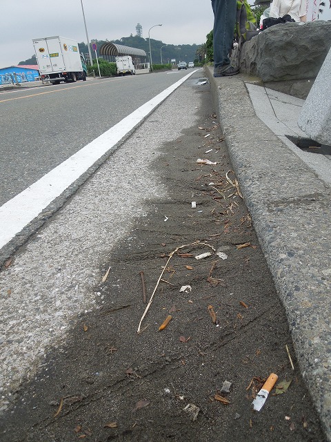DSCN2790.jpg