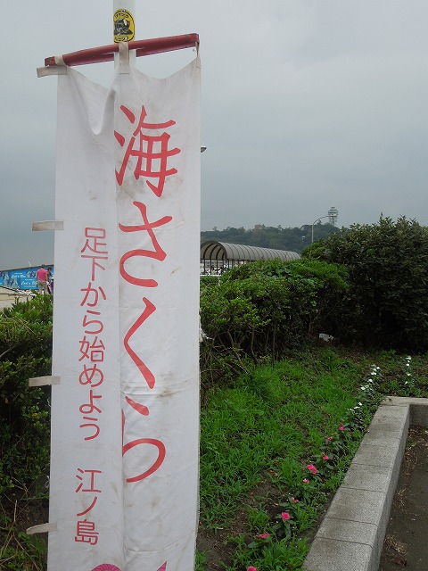 DSCN2815.jpg