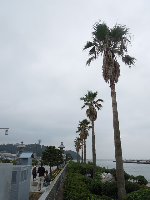 DSCN2819.jpg