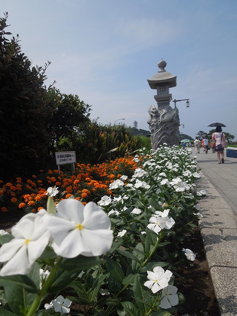 DSCN3768.jpg
