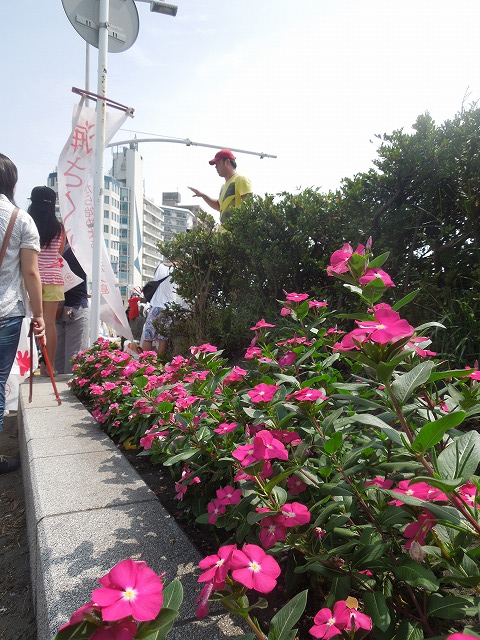 DSCN3771.jpg