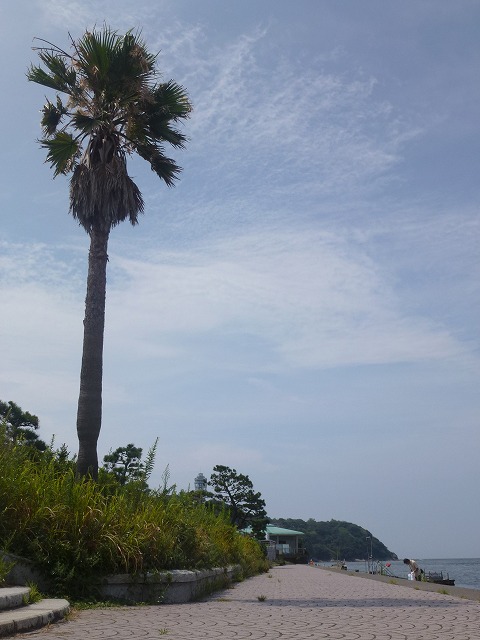 P1050087.jpg