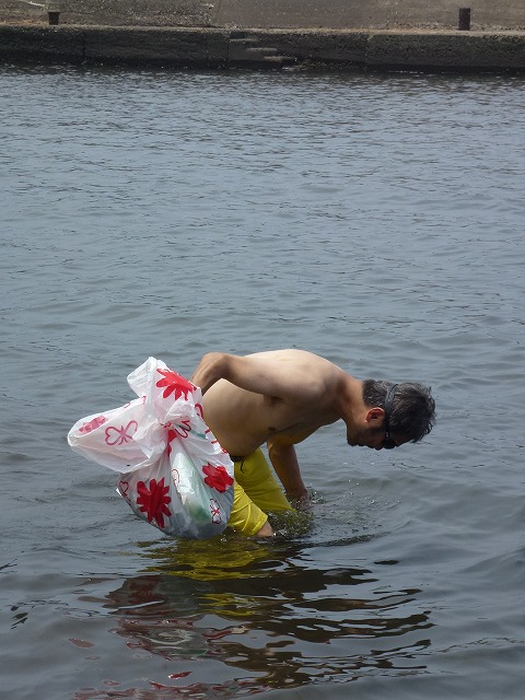 P1050144.jpg