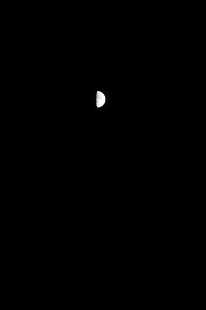 97.jpg