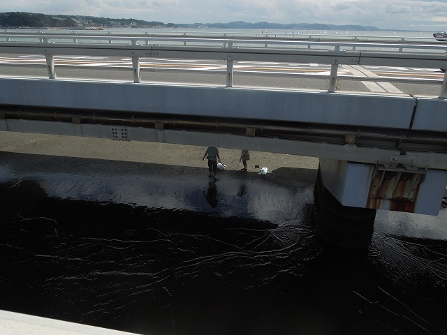 DSCN4086.jpg