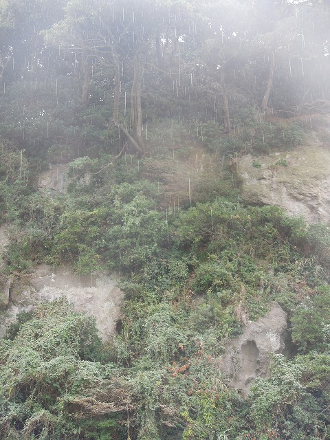 DSCN4100.jpg