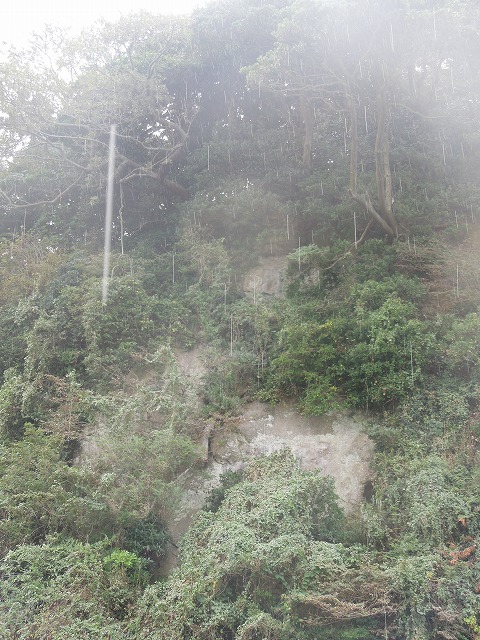DSCN4101.jpg