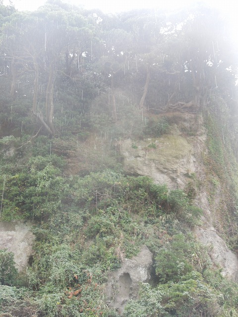 DSCN4102.jpg