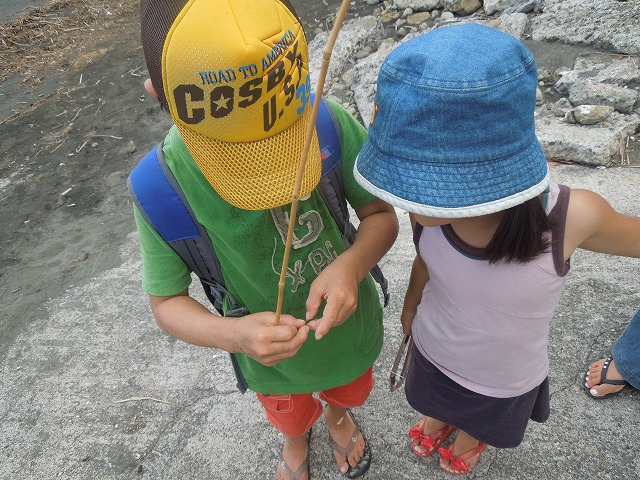 DSCN4110.jpg