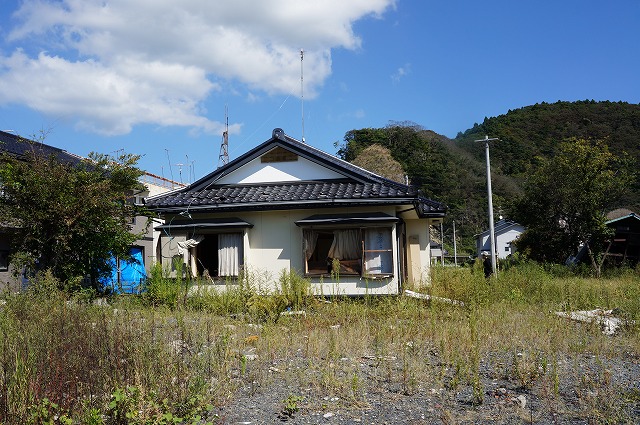 DSC01233.jpg