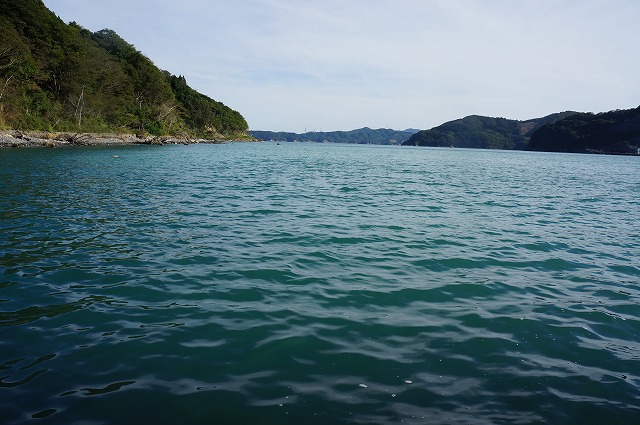 DSC01328.jpg