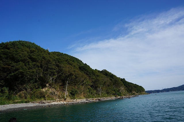DSC01333.jpg