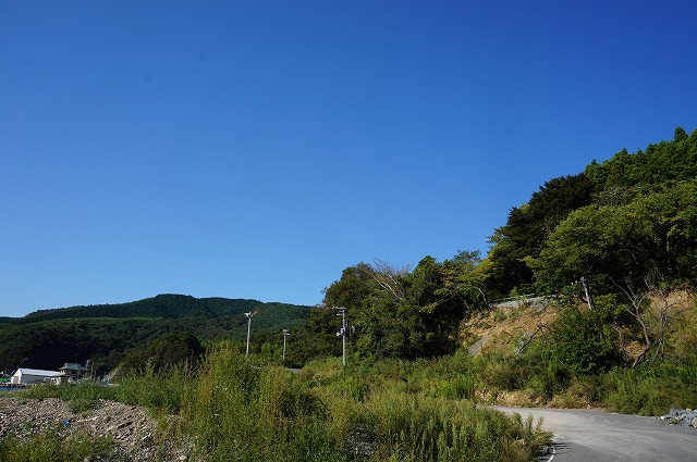 DSC01334.jpg