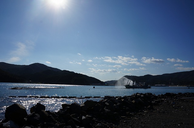 DSC01335.jpg