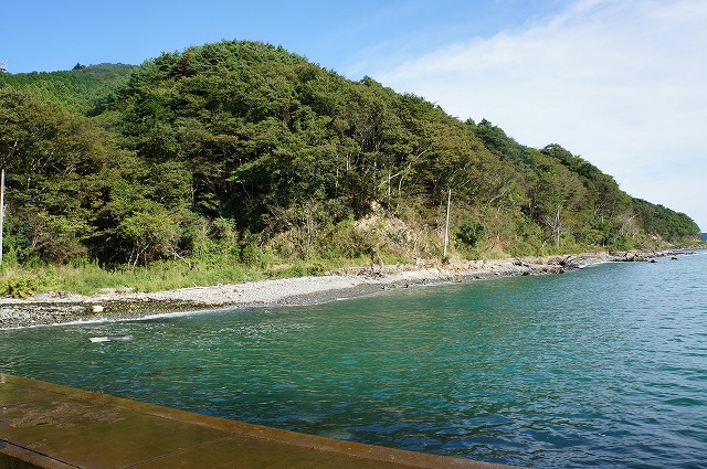 DSC01337.jpg