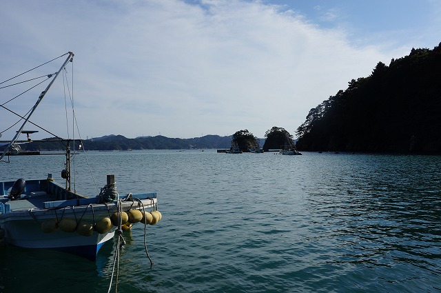 DSC01351.jpg