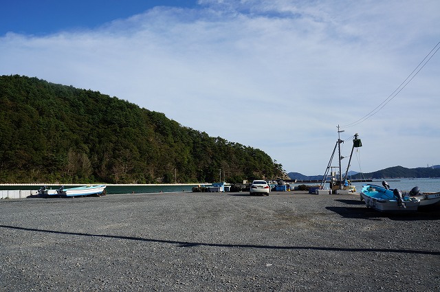 DSC01361.jpg