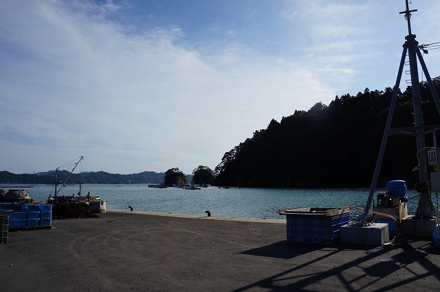DSC01362.jpg