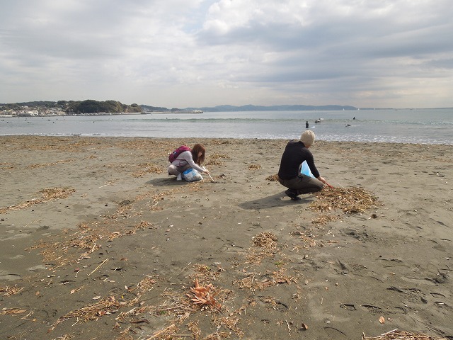 DSCN4369.jpg