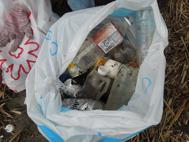 DSCN4385.jpg