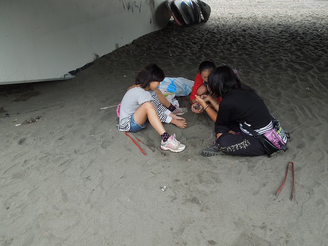 DSCN4386.jpg
