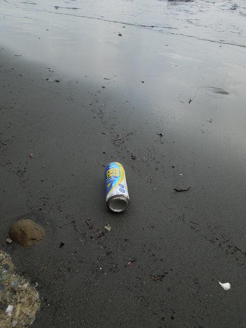 DSCN4399.jpg