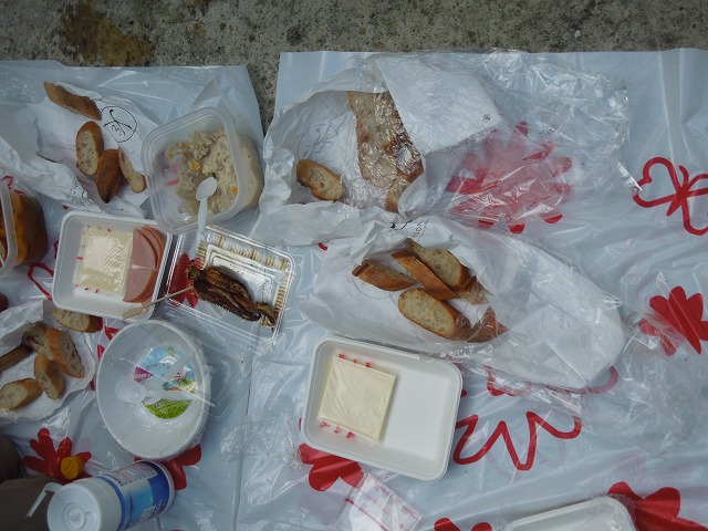 DSCN4410.jpg