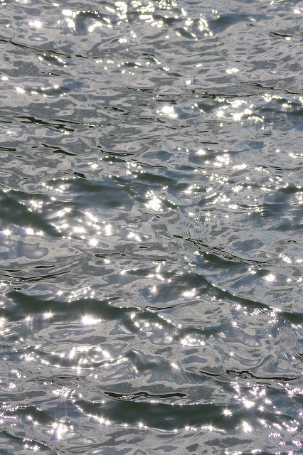 IMGP2936.jpg