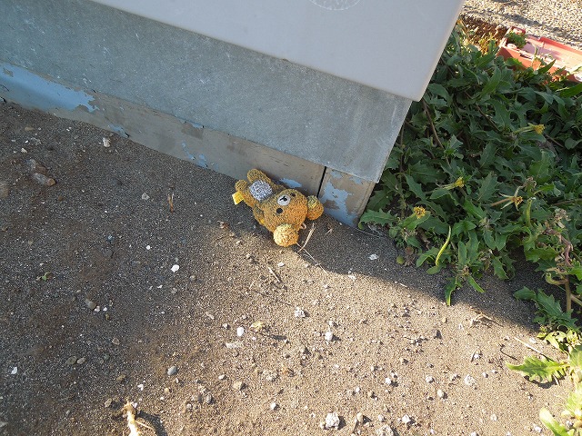 DSCN5040.jpg