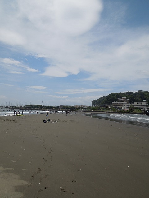 DSCN5986.jpg