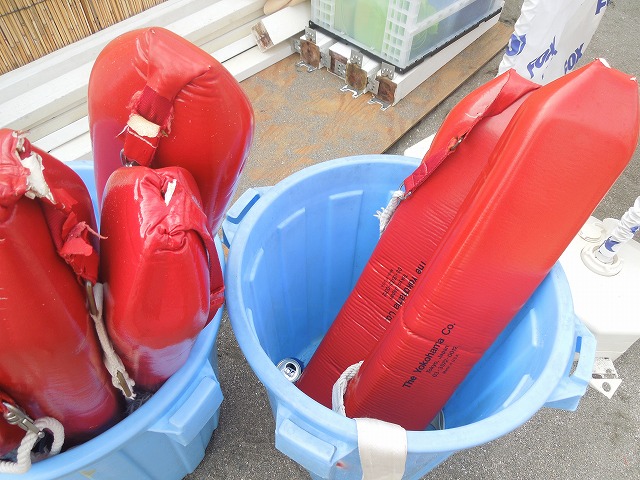 DSCN6983.jpg