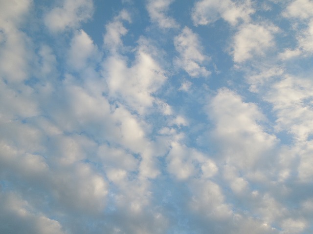 DSCN7056.jpg