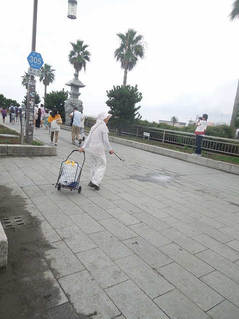 DSCN7095.jpg