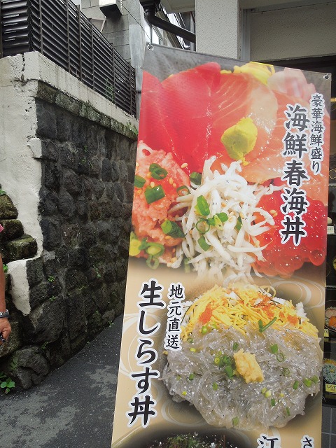 DSCN7110.jpg