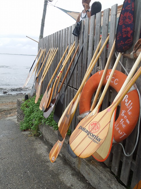 DSCN7113.jpg