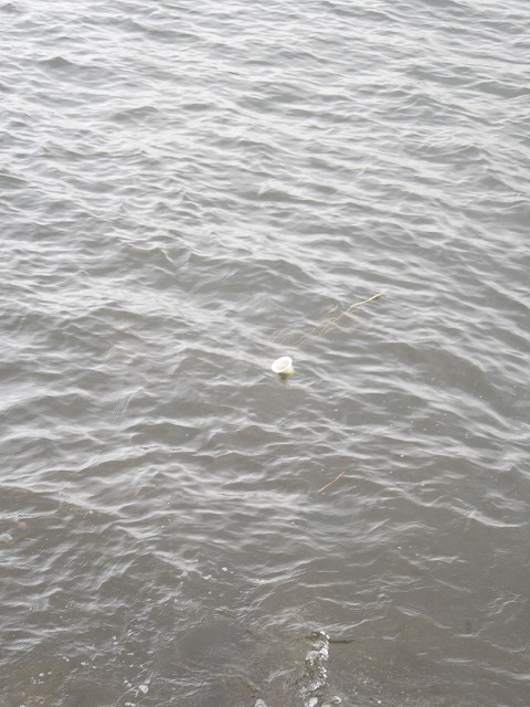 DSCN7133.jpg