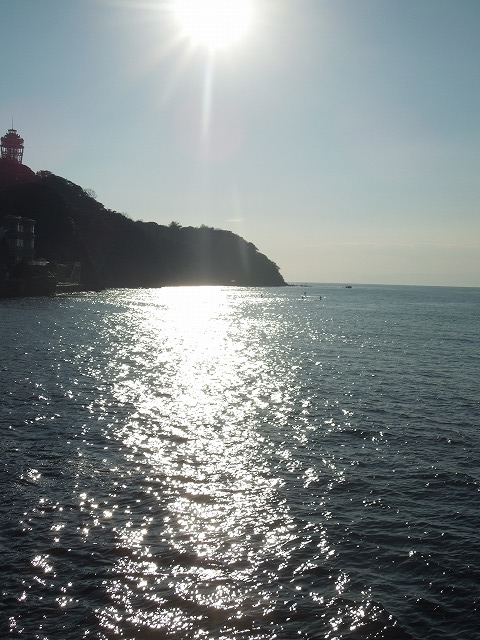 DSCN7298.jpg