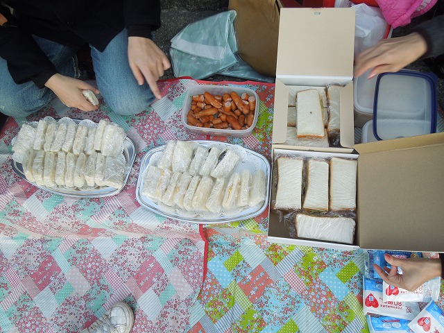 DSCN7338.jpg