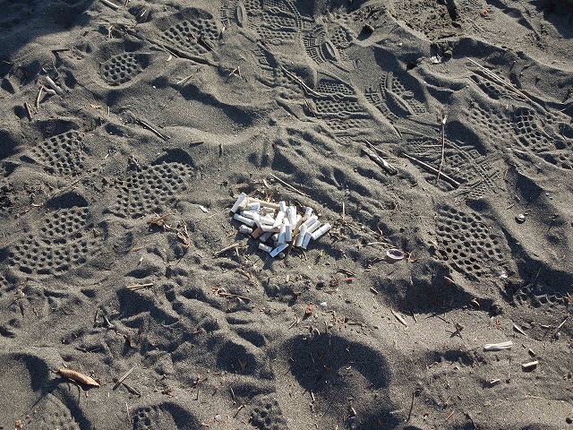 DSCN7631.jpg