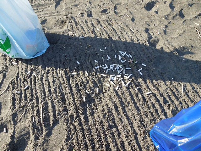 DSCN7635.jpg