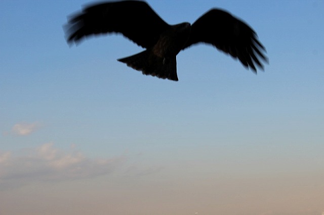 IMG_8564.jpg
