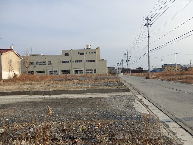 P2030006.jpg